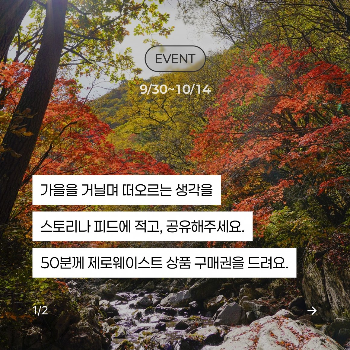 첨부이미지 autumn_thoughts1.png